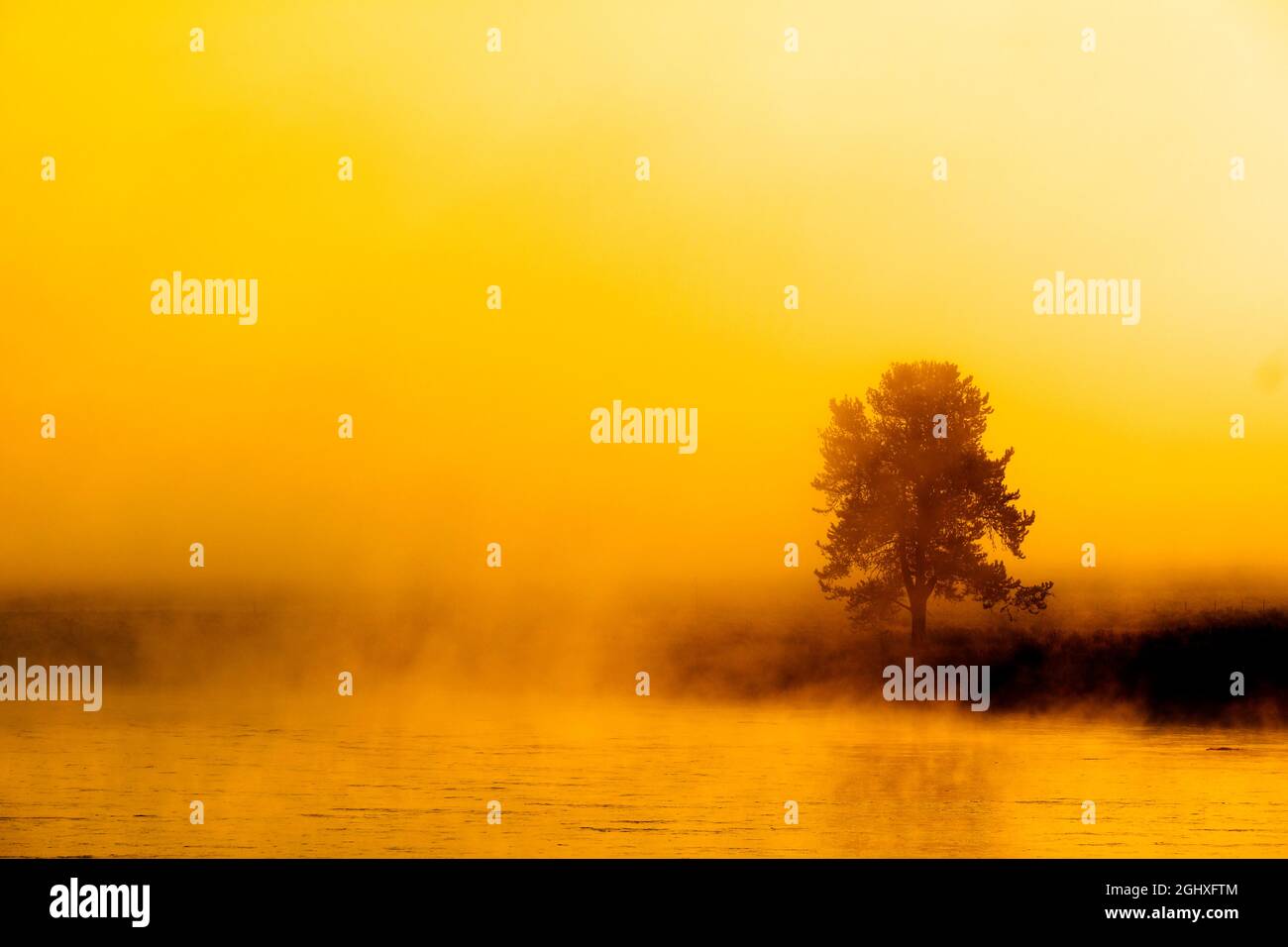 Sonnenaufgang am Morgen mit Bäumen und Fluss unter blauem Himmel und glühendem Nebel Stockfoto