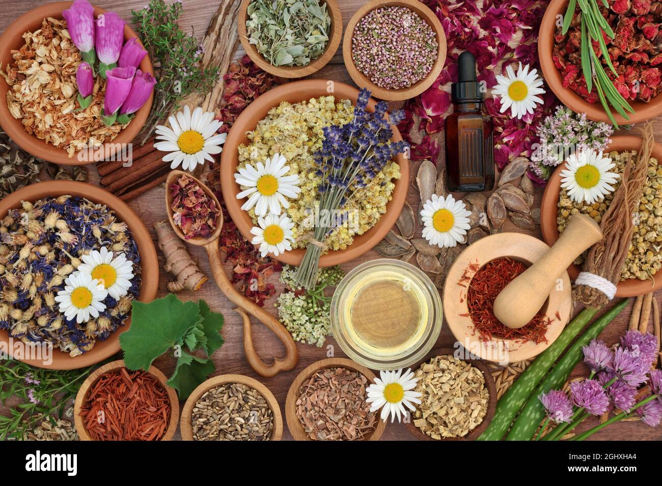 Ätherisches Öl Vorbereitung mit Kräutern und Blumen in natürlichen pflanzlichen Heilmitteln in Mörtel mit Stößel, Schüsseln und lose verwendet. Natürliche Pflanzenbasis Stockfoto