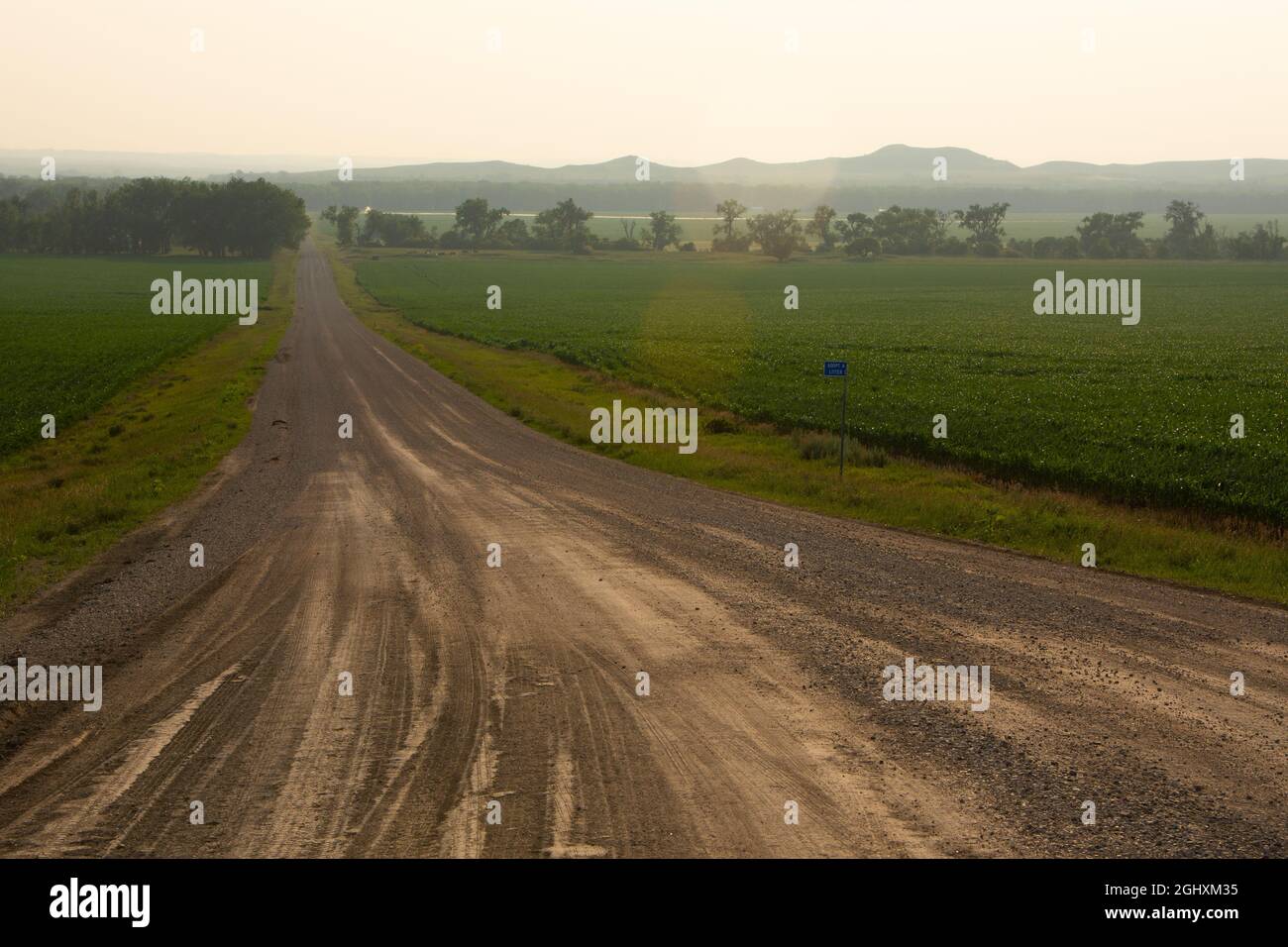 Nasse Schotterstraße, die in Ackerland führt, mit dichtem Rauch von westlichen Waldbränden, die schlechte Sicht und eine launische Szene schaffen. Stockfoto