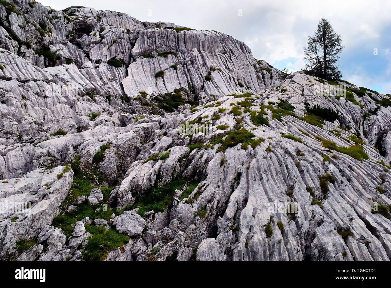 Slowenien, Lepena-Tal, Triglav-Nationalpark. Die Bodenkarstbildung des Berges Krn. Regen und Eis korrodieren und Formen die kalkhaltigen Felsen und dringen in den Untergrund ein. Stockfoto