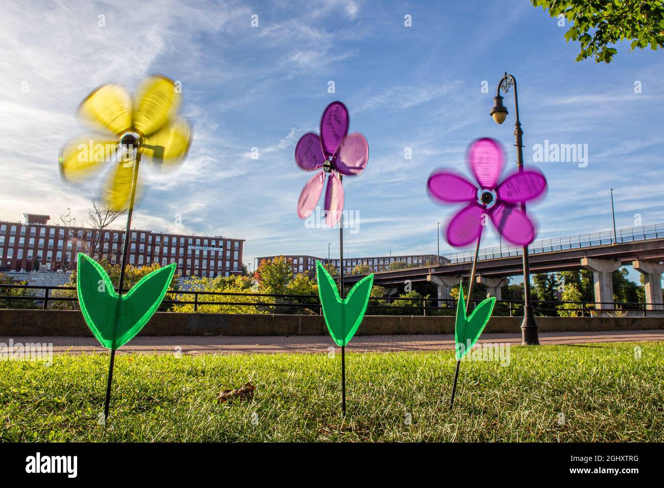 Manchester blumen Fotos und Bildmaterial in hoher Auflösung Alamy