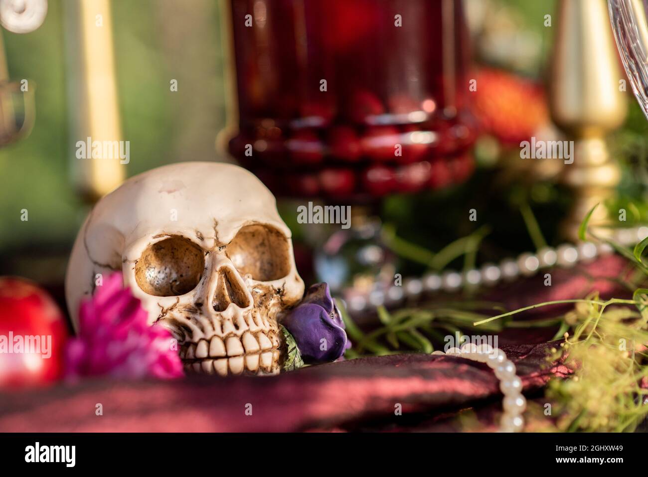 Gefälschter Schädel auf dem Tisch für Halloween-Feier platziert Stockfoto