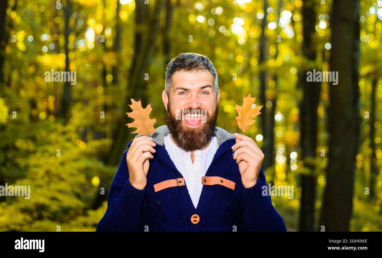 Herbstmann im Herbstpark. Warmes, sonniges Wetter. Lächelnder Kerl mit gelben Blättern. Herbstmode für Männer. Stockfoto