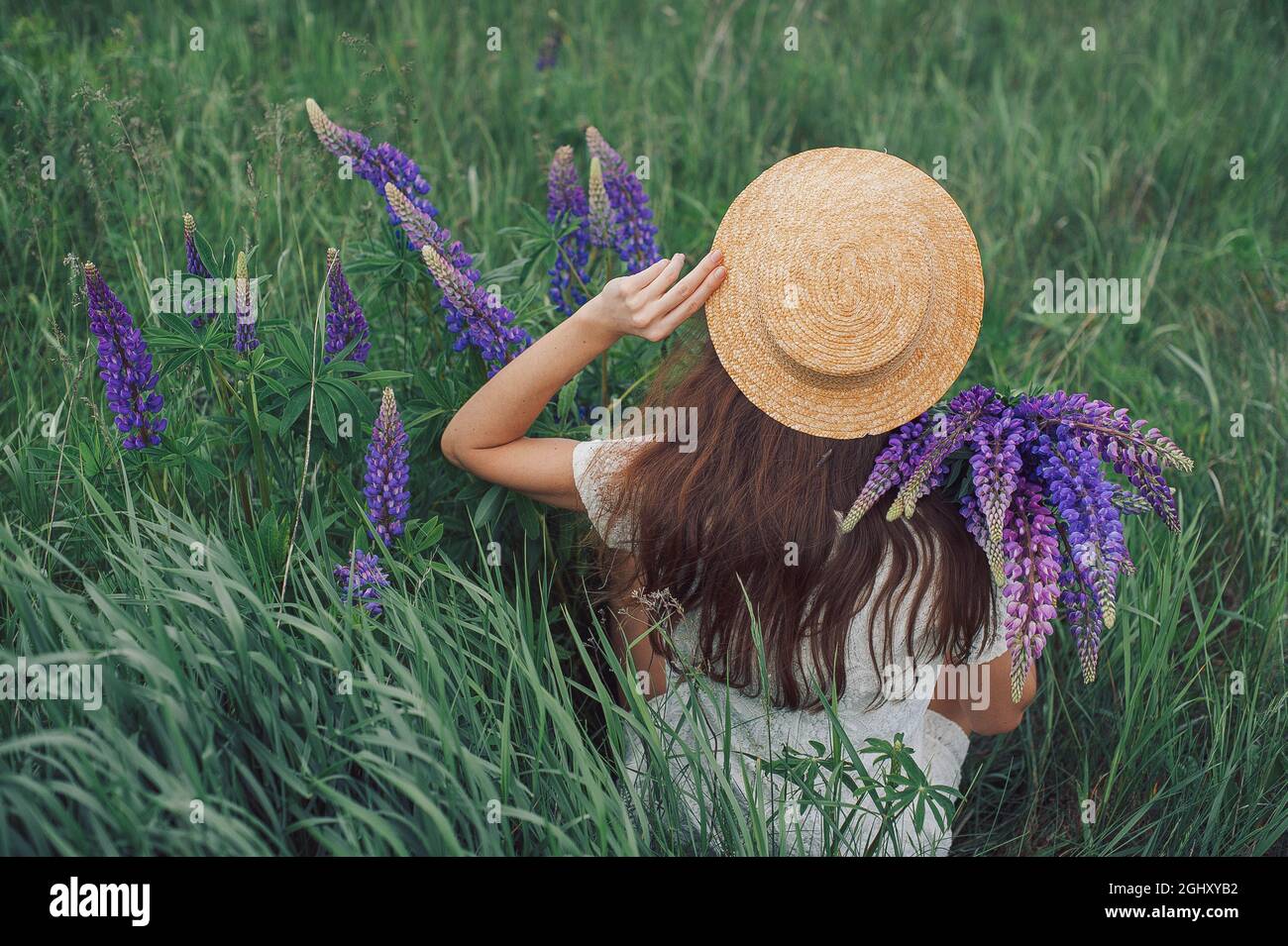 Schöne romantische Frau mit Blumenstrauß von Lupinen freudig in weißem Kleid und Hut sitzt in Feld von lila Lupine Blumen. Weicher, selektiver Fokus Stockfoto