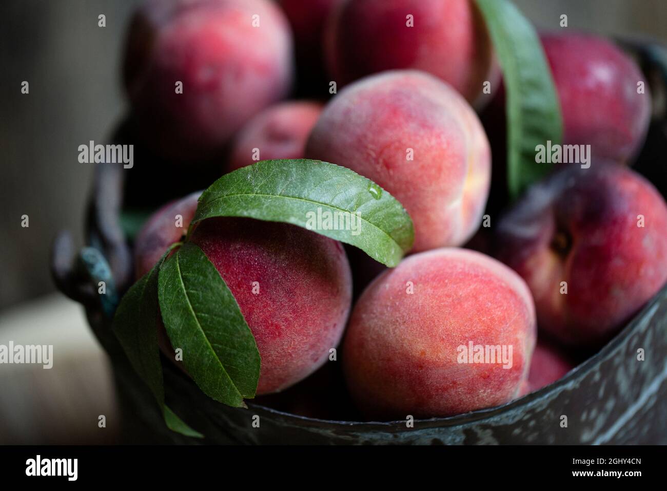 Ein Haufen Pfirsiche in einem Kupfereimer Stockfoto