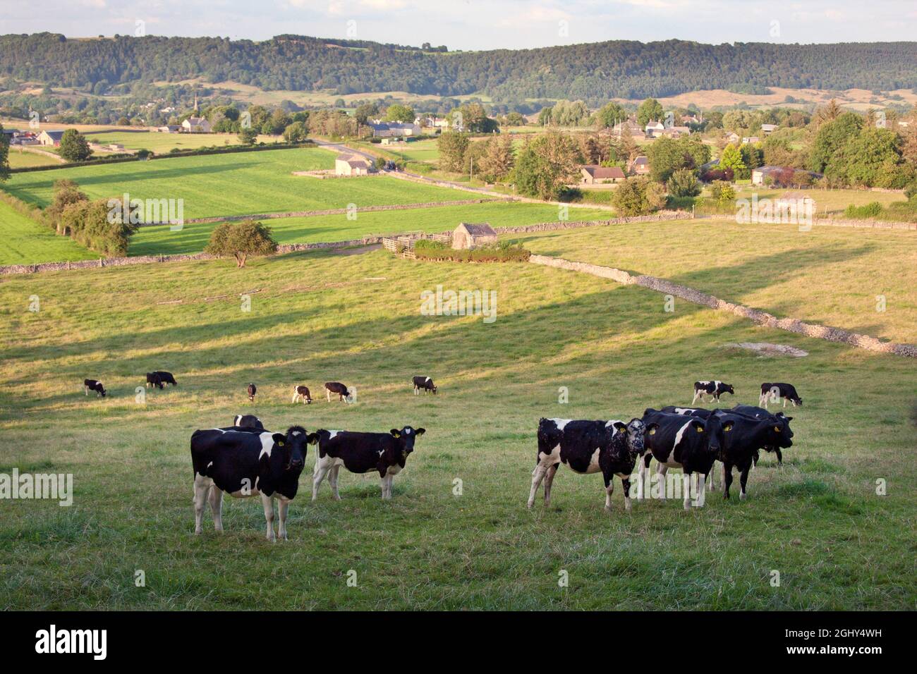 Blick auf Ashford im Wasser auf der Straße von Bakewell nach Monyash, Peak District, Derbyshire, England Stockfoto