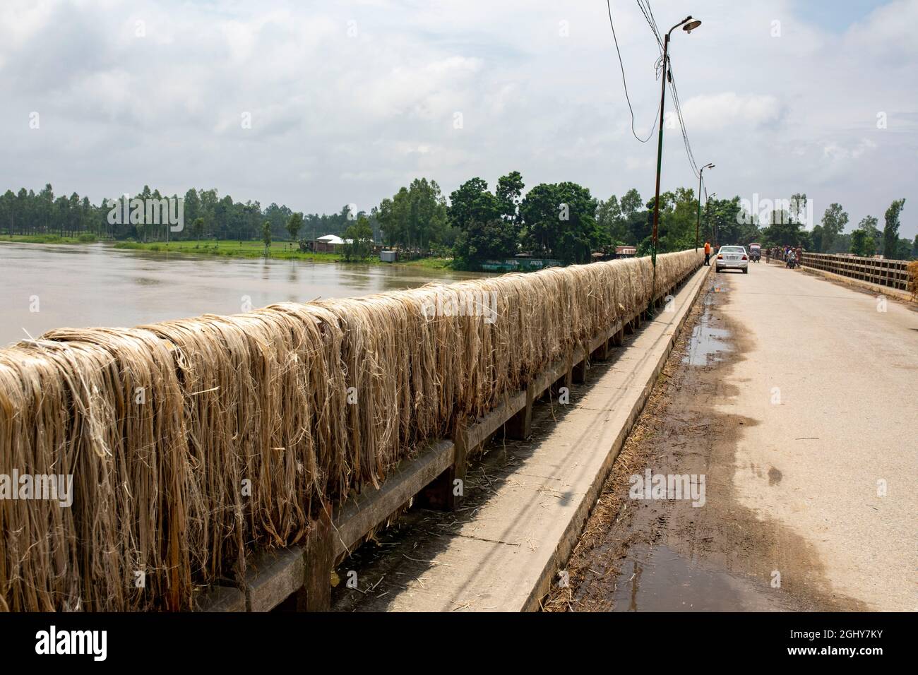 Ein Landwirt trocknet Jutefasern auf einer Brücke bei Sariakandi in Bogra, Bangladesch. Stockfoto