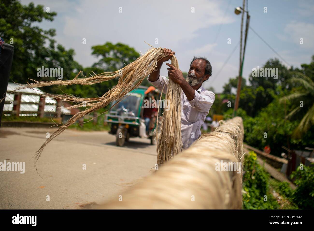 Ein Landwirt trocknet Jutefasern auf einer Brücke bei Sariakandi in Bogra, Bangladesch. Stockfoto