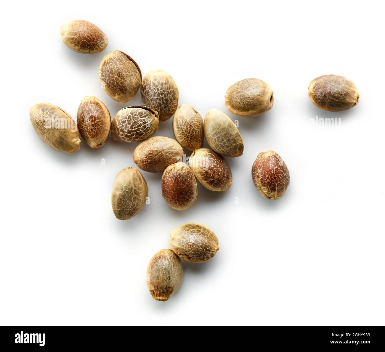 Hanfsamen Makro isoliert auf weißem Hintergrund, Draufsicht Stockfoto