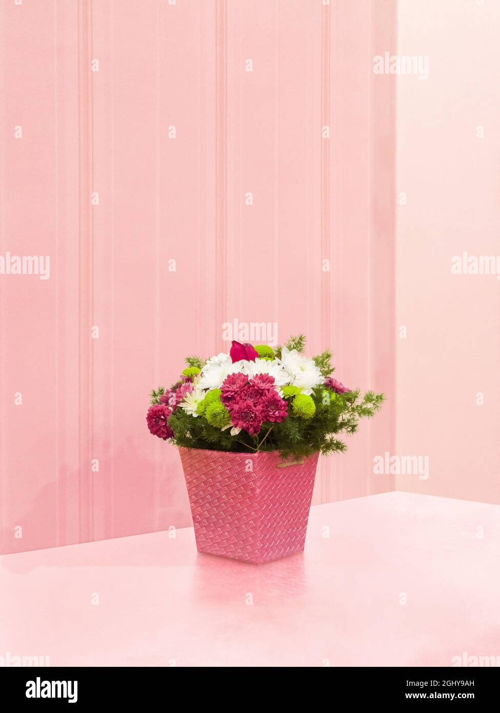 Die Blumen vor einer rosa Wand Stockfoto