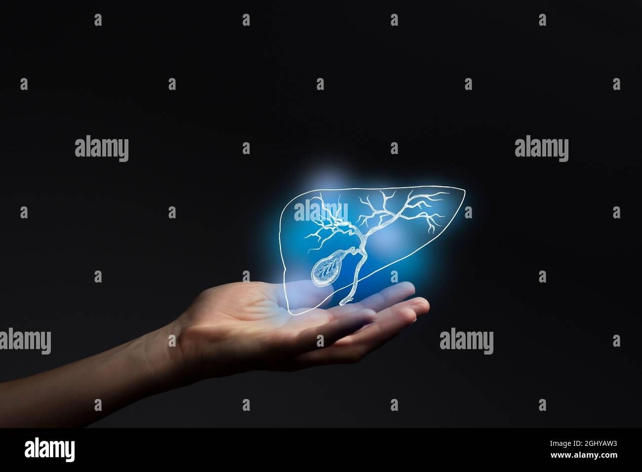 Gastroenterologe Arzt, Gallenblasenprobleme. Medizintechnikkonzept. Gastroenterologie. Stockfoto