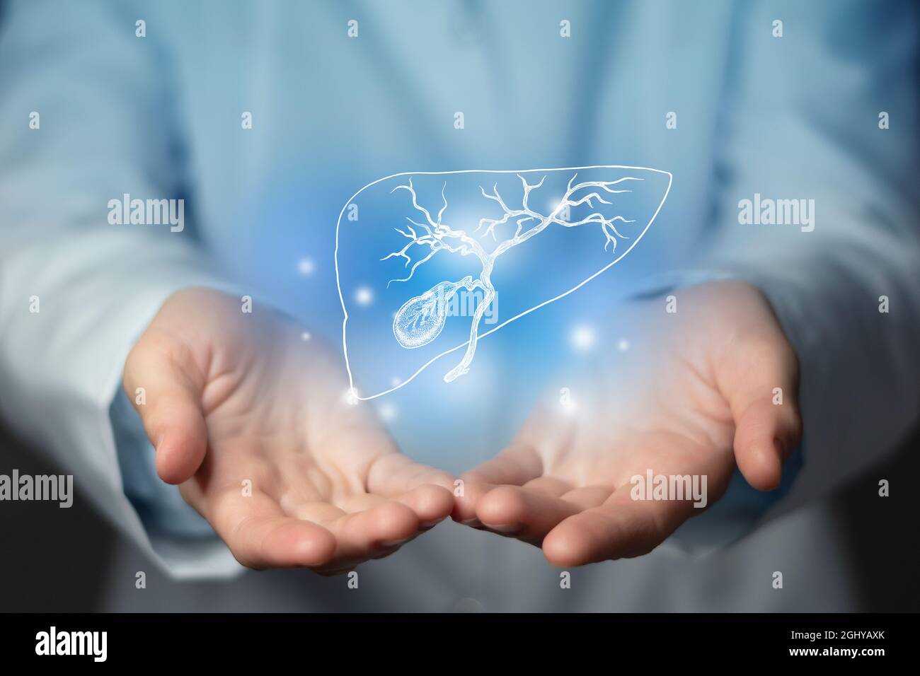 Gallenblase gibt medizinisches Konzept aus. Foto einer Ärztin, leerer Raum. Stockfoto