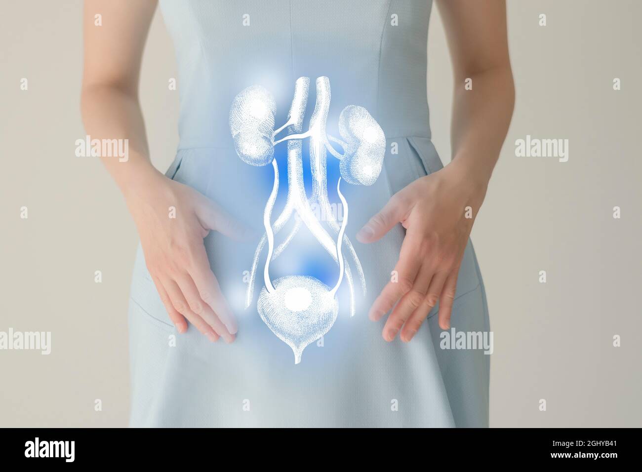 Nicht erkennbare weibliche Patientin in blauer Kleidung, hervorgehobenes, von Hand gezeichnetes Nierensystem in den Händen. Das menschliche Nierensystem stellt ein Konzept dar. Stockfoto