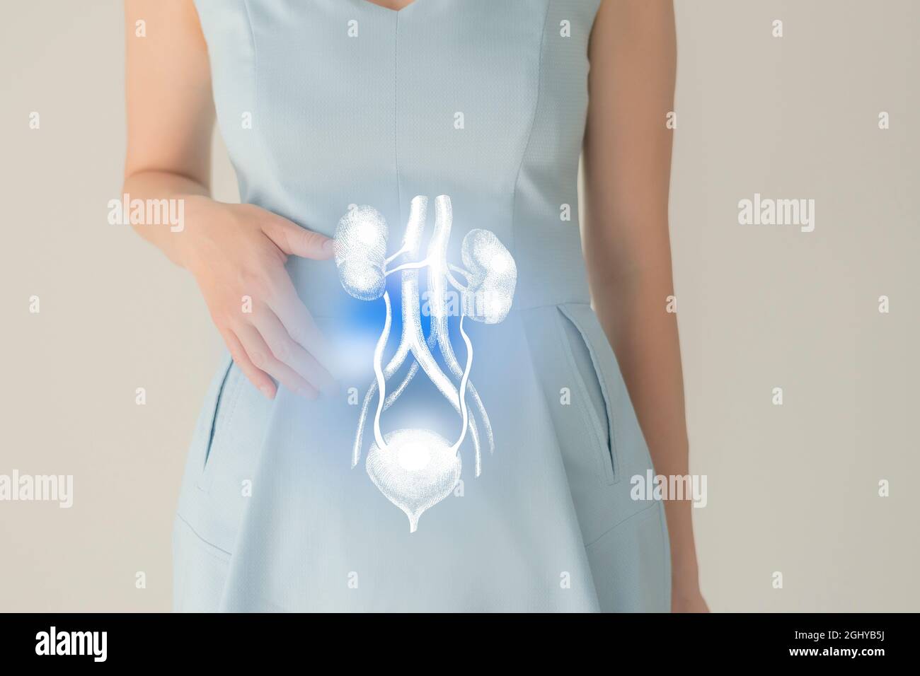 Nicht erkennbare weibliche Patientin in blauer Kleidung, hervorgehobenes, von Hand gezeichnetes Nierensystem in den Händen. Das menschliche Nierensystem stellt ein Konzept dar. Stockfoto
