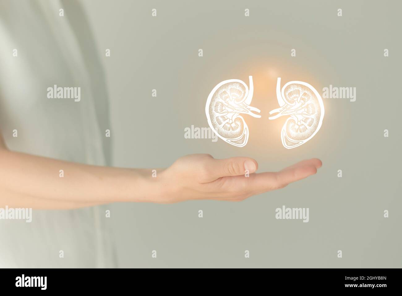 Nicht erkennbare weibliche Patientin in weißer Kleidung, hervorgehobene handgezeichnete Nieren in den Händen. Das menschliche Nierensystem stellt ein Konzept dar. Stockfoto