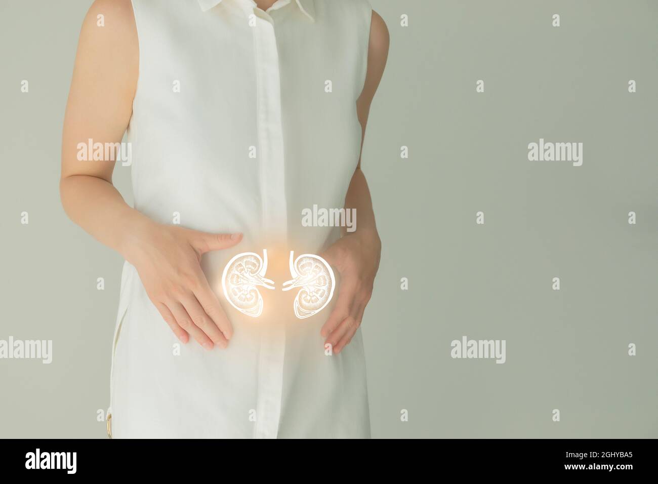 Nicht erkennbare weibliche Patientin in weißer Kleidung, hervorgehobene handgezeichnete Nieren in den Händen. Das menschliche Nierensystem stellt ein Konzept dar. Stockfoto