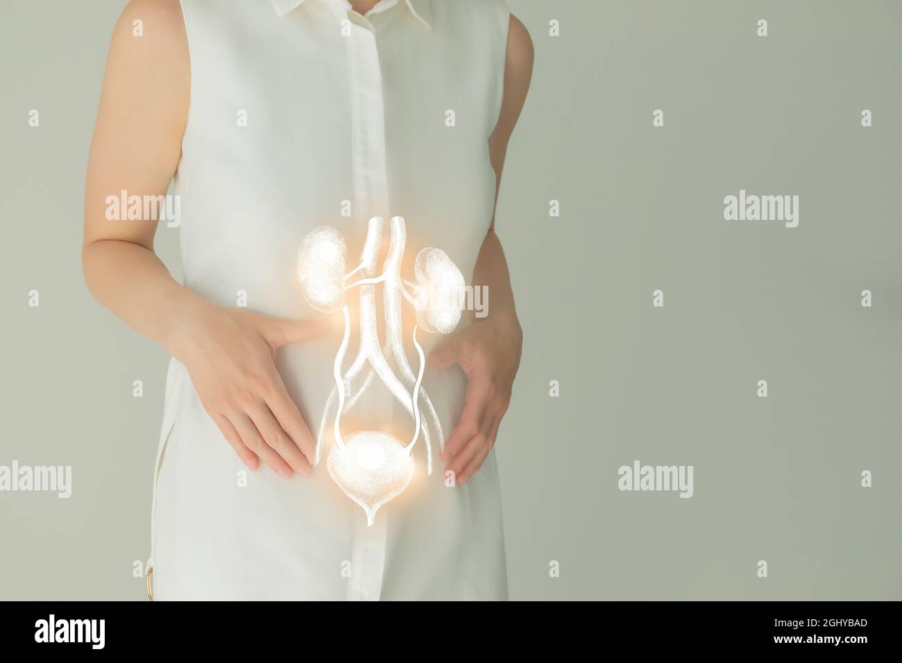 Nicht erkennbare weibliche Patientin in weißer Kleidung, hervorgehobenes, von Hand gezogenes Nierensystem in den Händen. Das menschliche Nierensystem stellt ein Konzept dar. Stockfoto