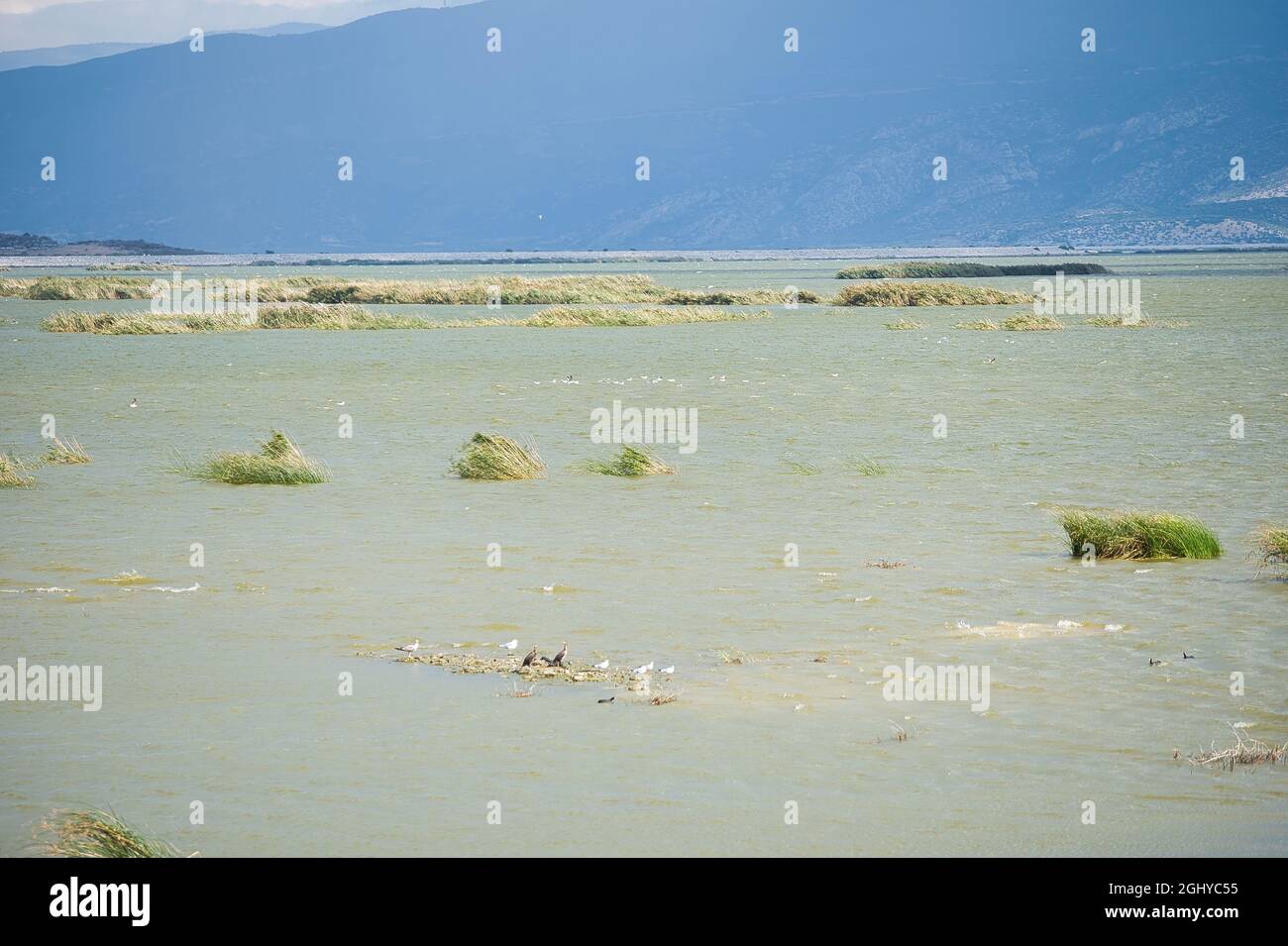 Karla See, Magnessia - Volos, Thessalien, Griechenland. Stockfoto