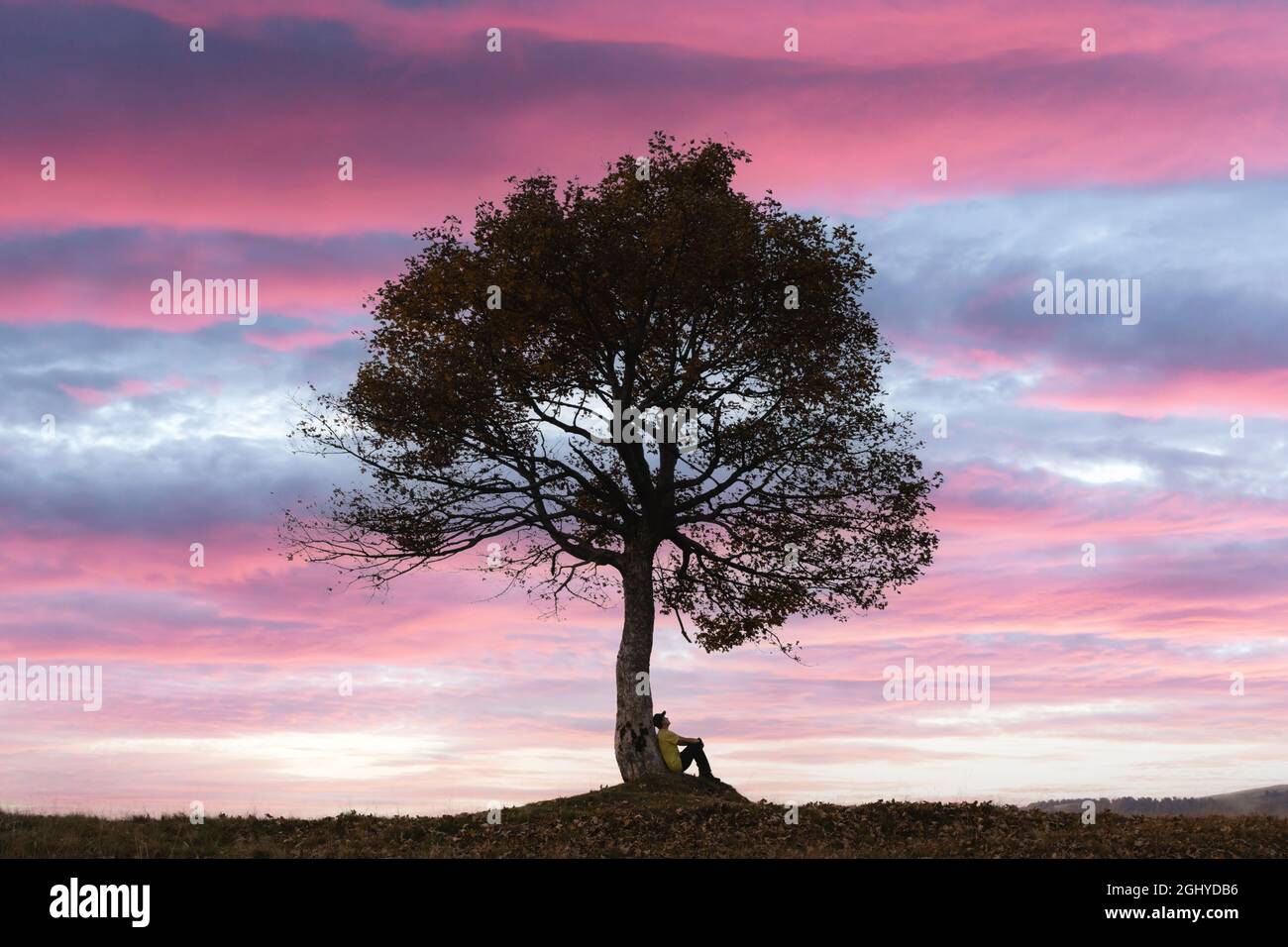 Silhouette eines Touristen, der bei Sonnenuntergang unter einem majestätischen Baum auf einer Bergwiese sitzt. Dramatische, farbenfrohe Szene mit wolkig-violettem Himmel. Landschaftsfotografie Stockfoto Silhouette eines Touristen, der bei Sonnenuntergang unter einem majestätischen Baum auf einer Bergwiese sitzt. Dramatische, farbenfrohe Szene mit wolkig-violettem Himmel. Landschaftsfotografie Stockfoto