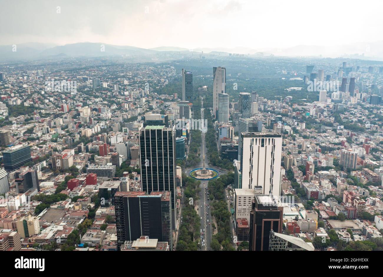 Luftaufnahme des Engels der Unabhängigkeit, umgeben von Grün und Handels- und Finanzgebäude in Mexiko-Stadt während des Tages Stockfoto