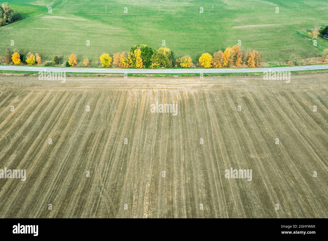 Landstraße zwischen Grünfeld und Ackerland mit gelben Bäumen an der Seite. Herbst ländliche Landschaft. Luftbild Stockfoto