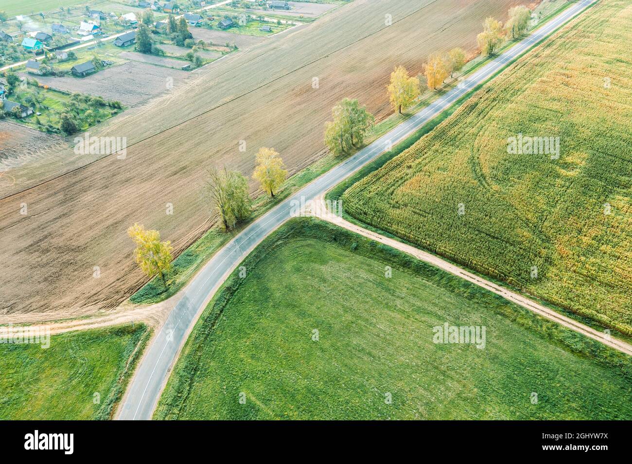 Landstraße Kreuzung mit Feldwegen zwischen landwirtschaftlichen Feldern. Herbst sonnige Landschaft. Drohne Foto. Stockfoto