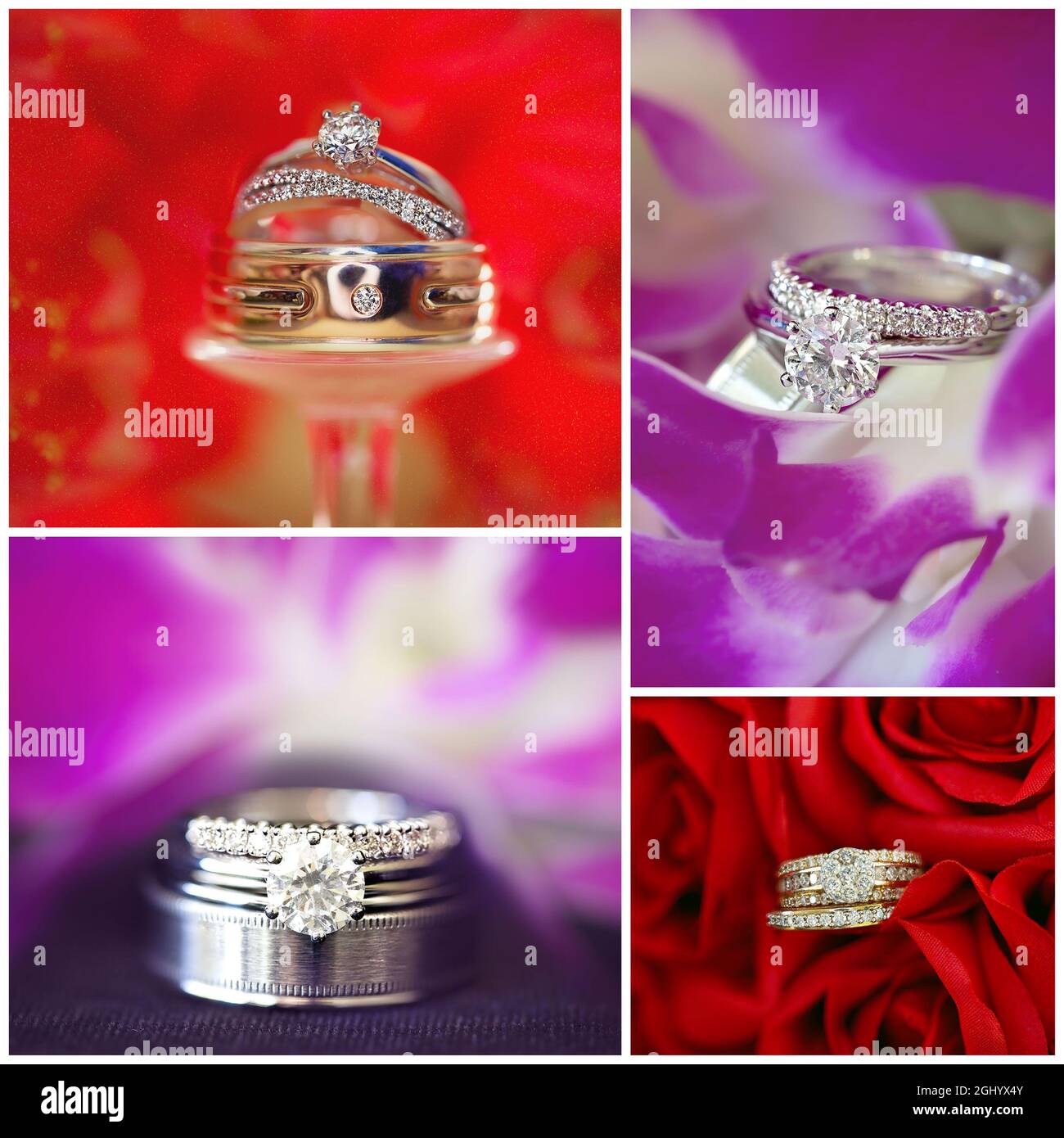 Collage aus Diamant-Eheringen auf bunten Hintergründen in Rot und Lila Stockfoto
