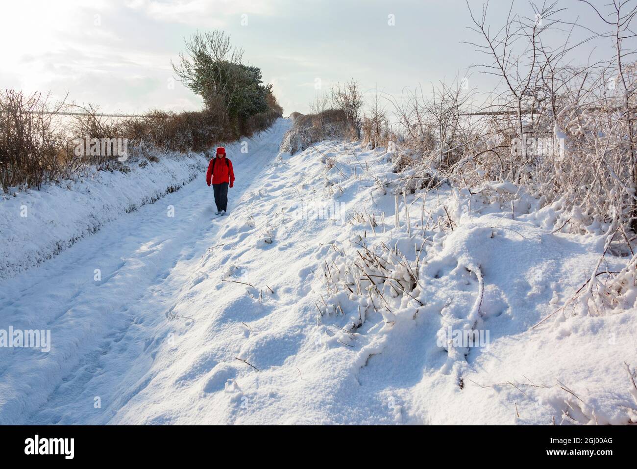 Winterwetter auf einer schneebedeckten Strecke in der Landschaft von North Yorkshire, England. Stockfoto