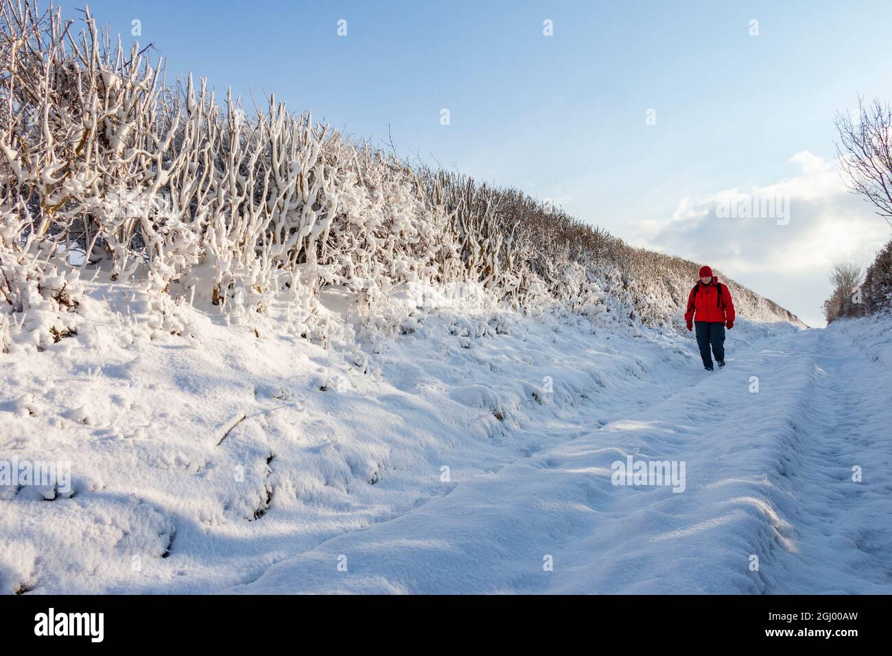 Winterwetter auf einer schneebedeckten Strecke in der Landschaft von North Yorkshire, England. Stockfoto