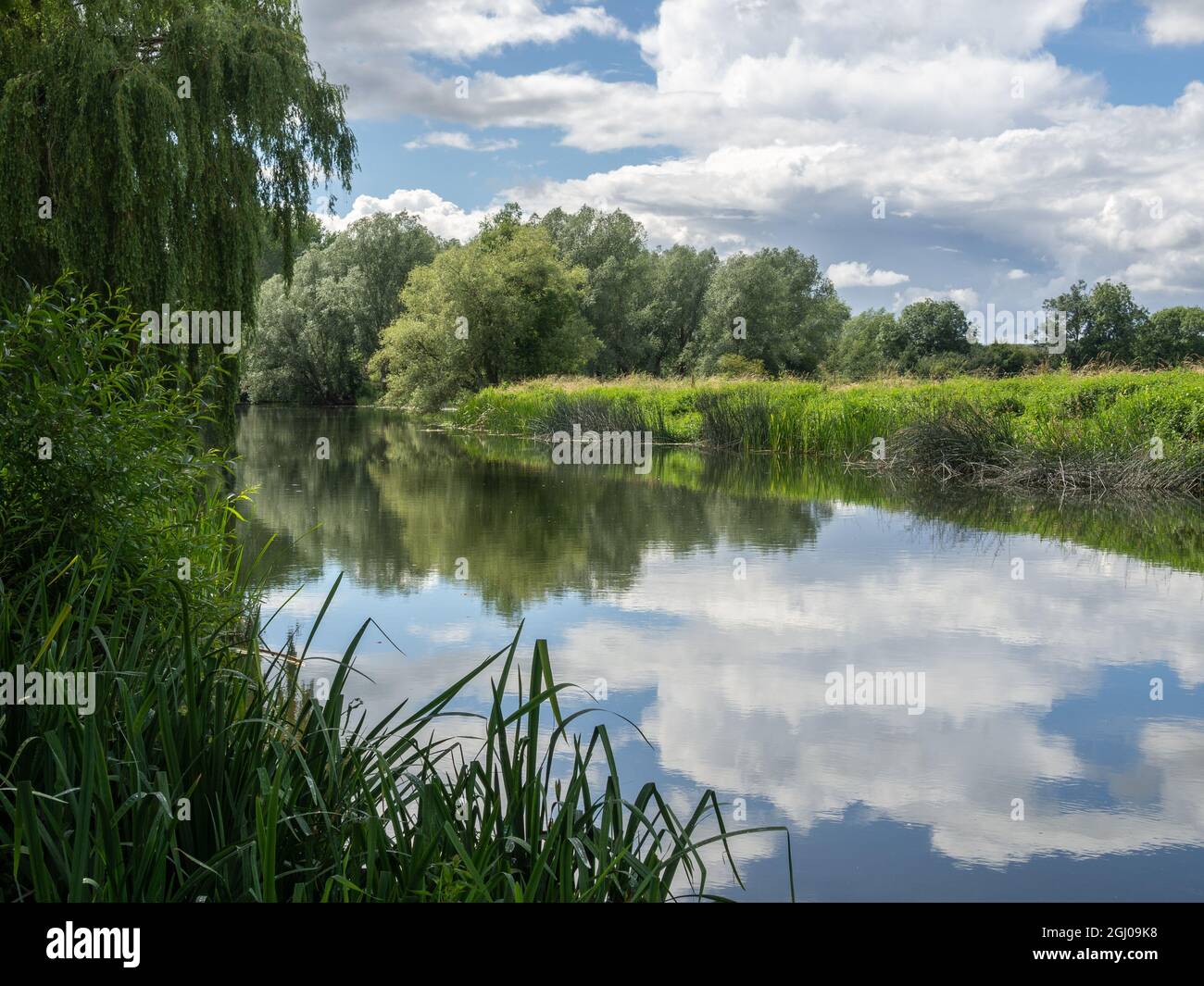 Ein friedlicher Sommertag mit blauem Himmel, der sich in den stillen Gewässern des Flusses Great Ouse, Felmersham, Bedfordshire, Großbritannien, widerspiegelt Stockfoto