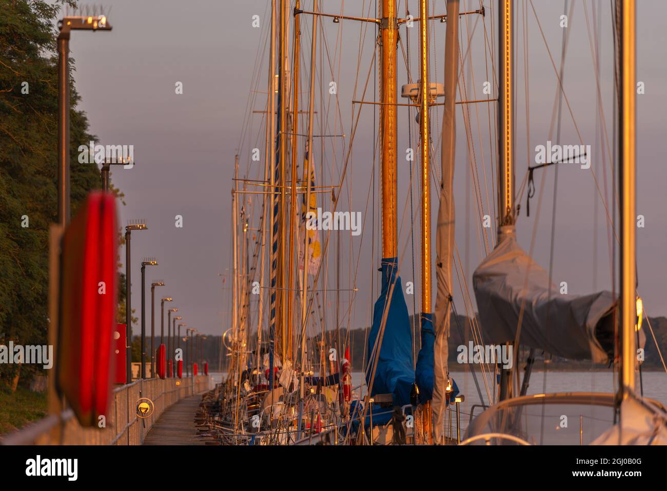 Abendlicht im Spätsommer am Tiessenkai promade in Kiel, Kreis Holtenau, Kieler Förde, Ostsee, Schleswig-Holstein, Norddeutschland, Europa Stockfoto