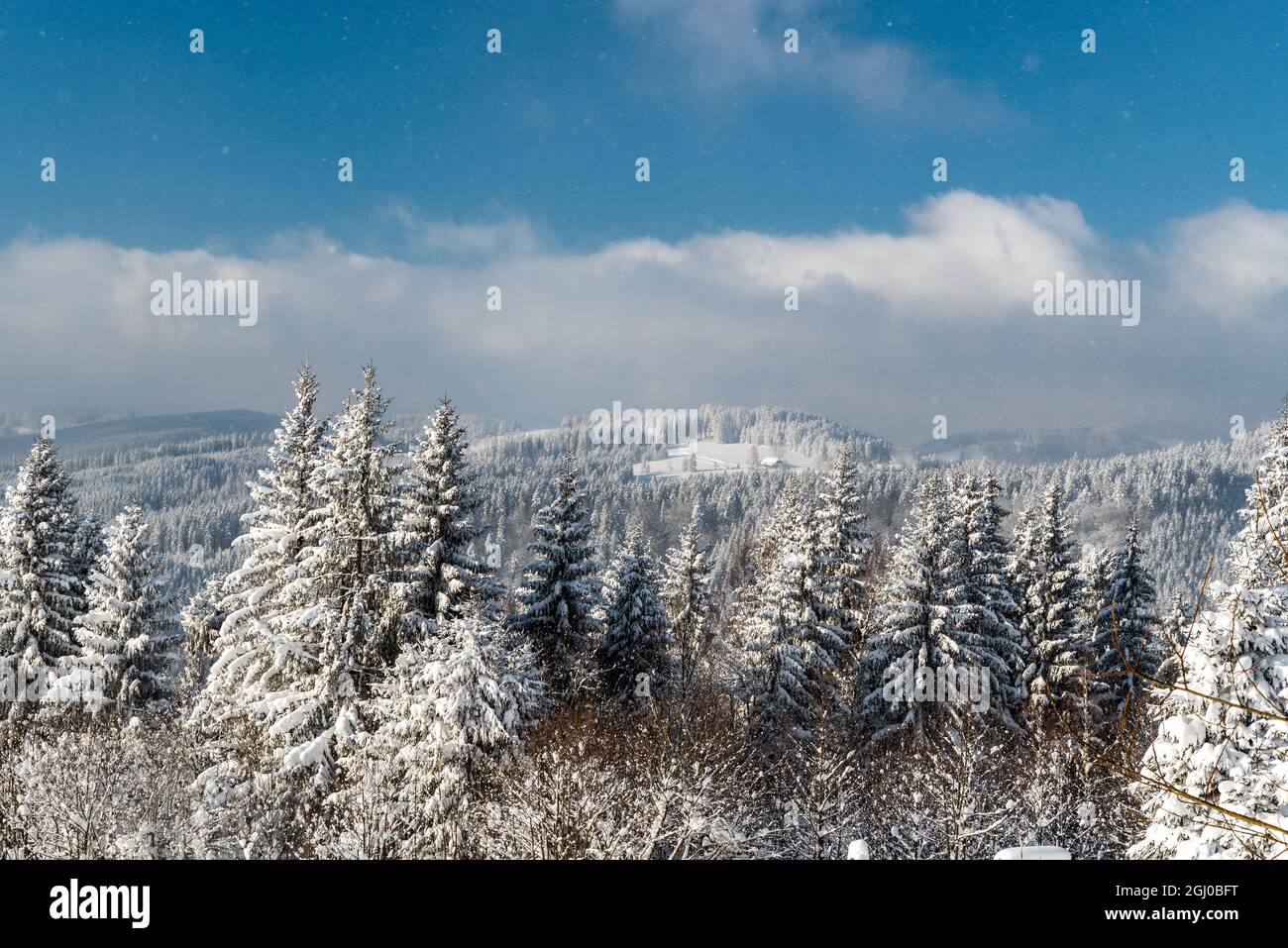 Winter Moravskoslezske Beskydy Berge von Bily kriz auf tschechisch - slowakischen Grenzen mit gefrorenen Wald und blauen Himmel mit Wolken Stockfoto