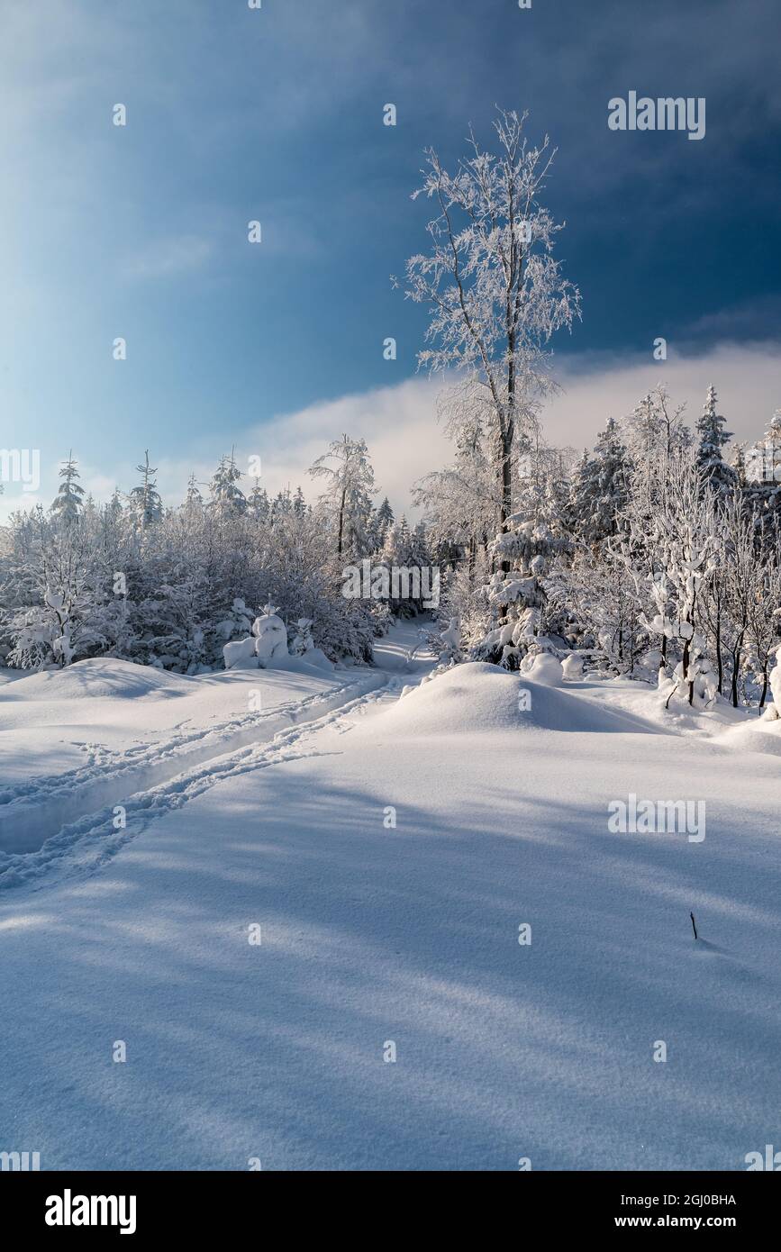 Winterberge mit Schnee, Wanderweg, gefrorenen Bäumen und blauem Himmel mit Wolken inMoravskoslezske Beskydy Berge bei Bily kriz auf tschechisch - slowakei Stockfoto