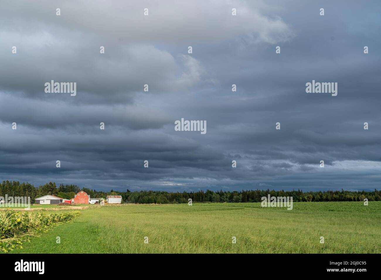 Farmfelder unter dunklen Wolken im ländlichen Prince Edward islnd, Kanada. Stockfoto