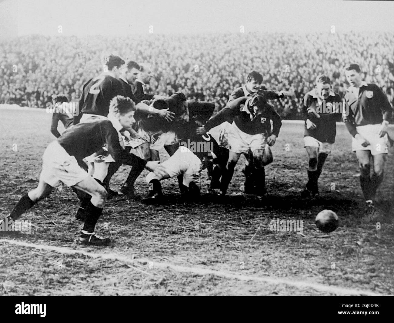 Schottland schlug Irland mit 12- 3 in Murrayfield. T.W.Y Kemp aus Schottland eilt, um einen losen Ball von den Iren Macdermott, Roe und Pedlow zu sammeln. Glasgow - 27. Februar 1955 Stockfoto