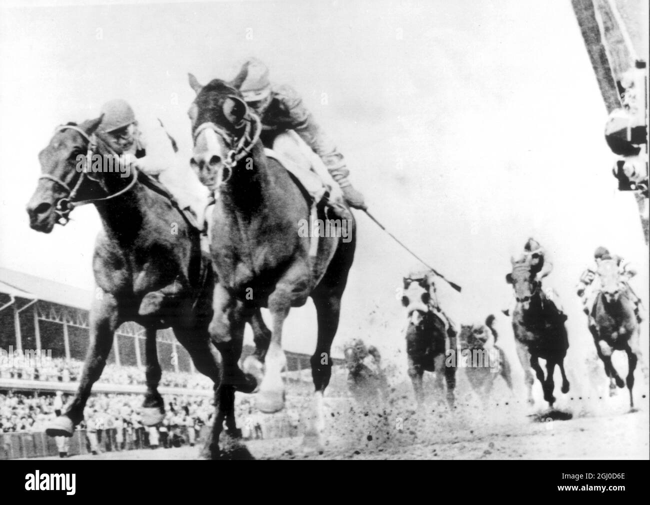 Northern Dancer, geritten von Hartack (R) kreuzt durch die Ziellinie vor Hill Rise, geritten von Shoemaker. Februar 1964 Stockfoto