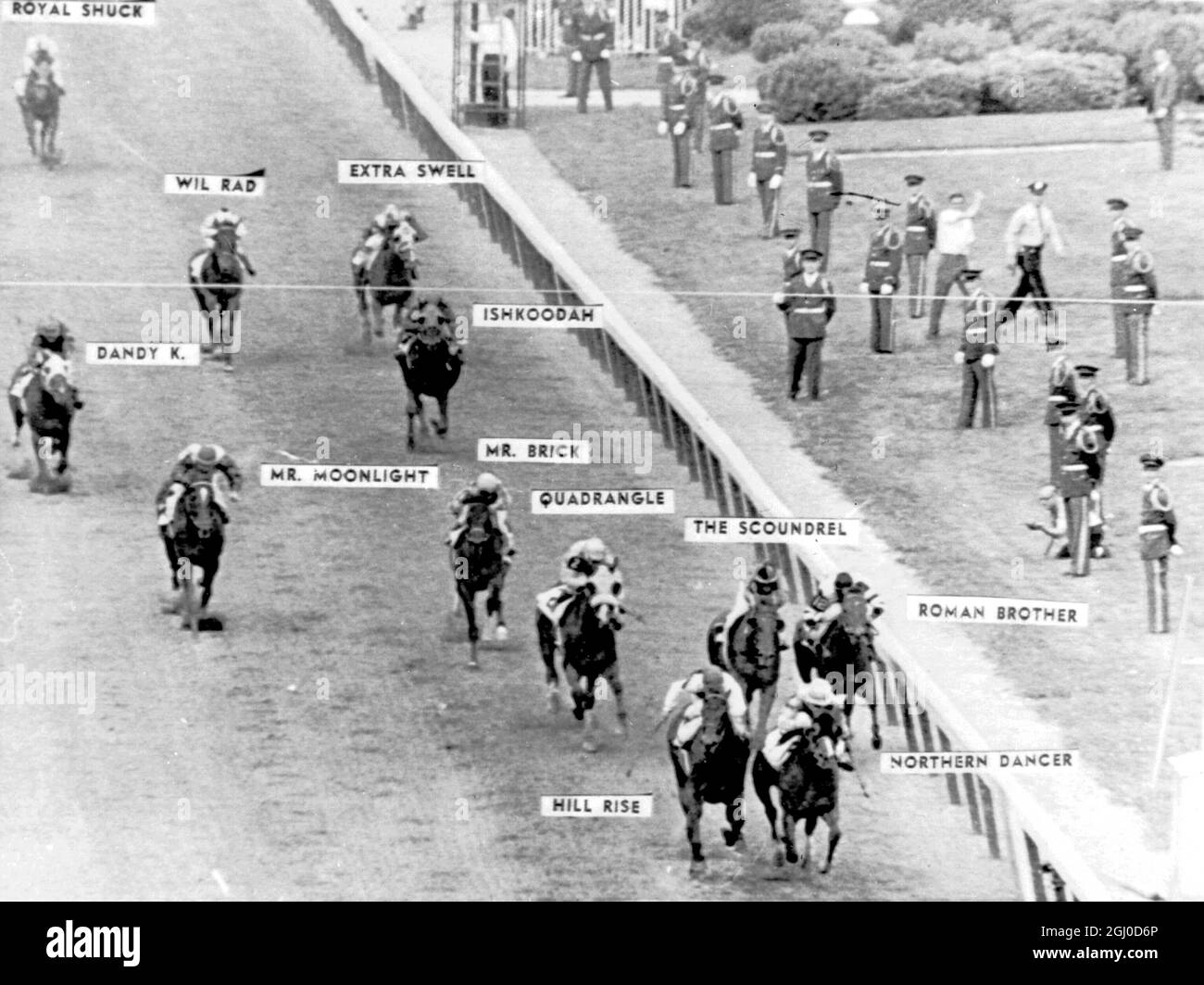 Northern Dancer (vorne) nagt vor Hill Rise (vorne links), um das Kentucky Derby beim 90. Lauf des Rennens in Churchill Downs zu gewinnen. Mai 1964 Stockfoto