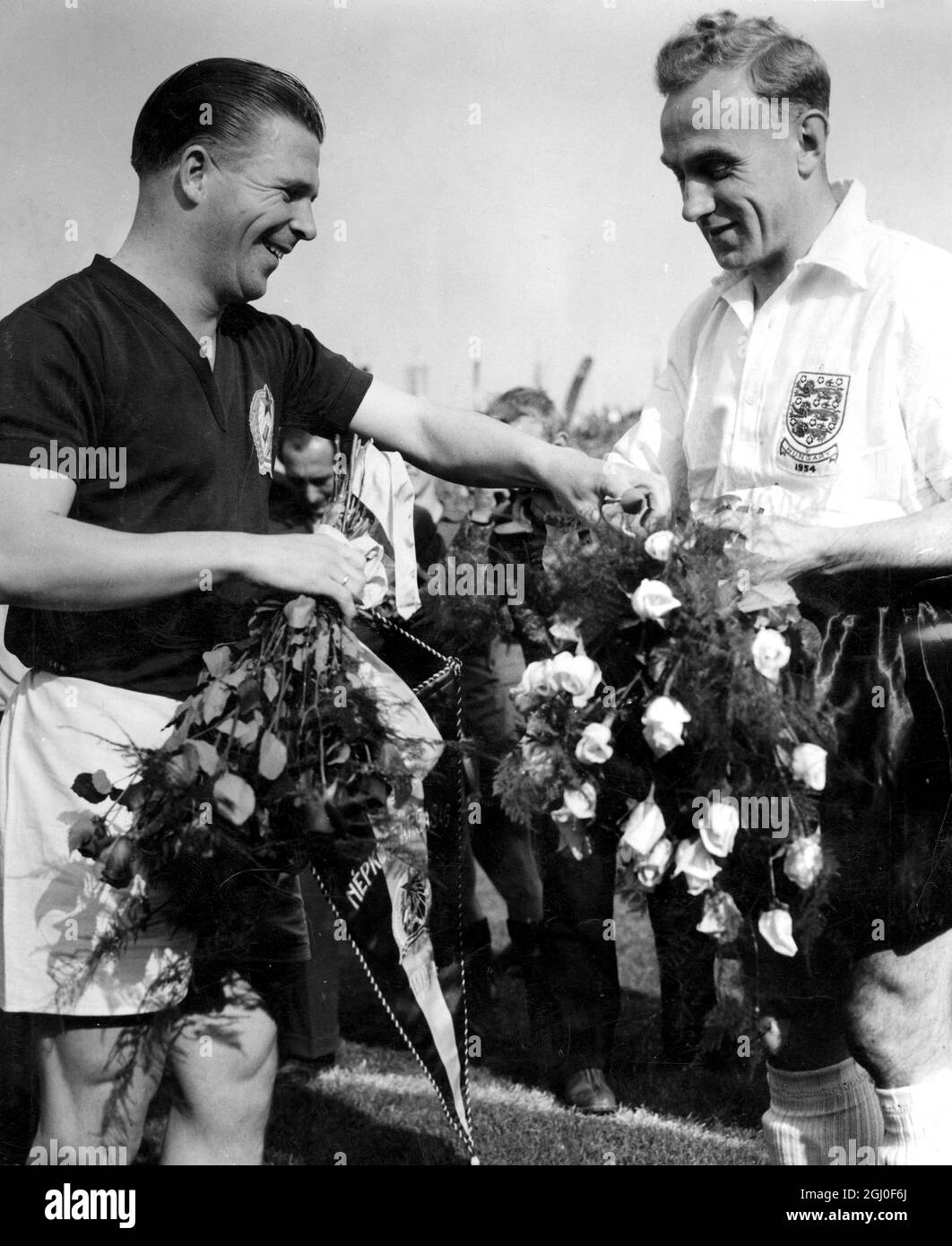 Die Blumensträuße werden von den beiden Kapitäne vor dem Start des Spiels Ungarn gegen England International im People's Stadium ausgetauscht. Es sind Billy Wright (rechts) und Ferenc Puskas. Die Ungarn, die 7-1 gewonnen hatten, versprachen dem englischen Fußball die größte Niederlage durch die kontinentale Seite. Mai 1954. Stockfoto