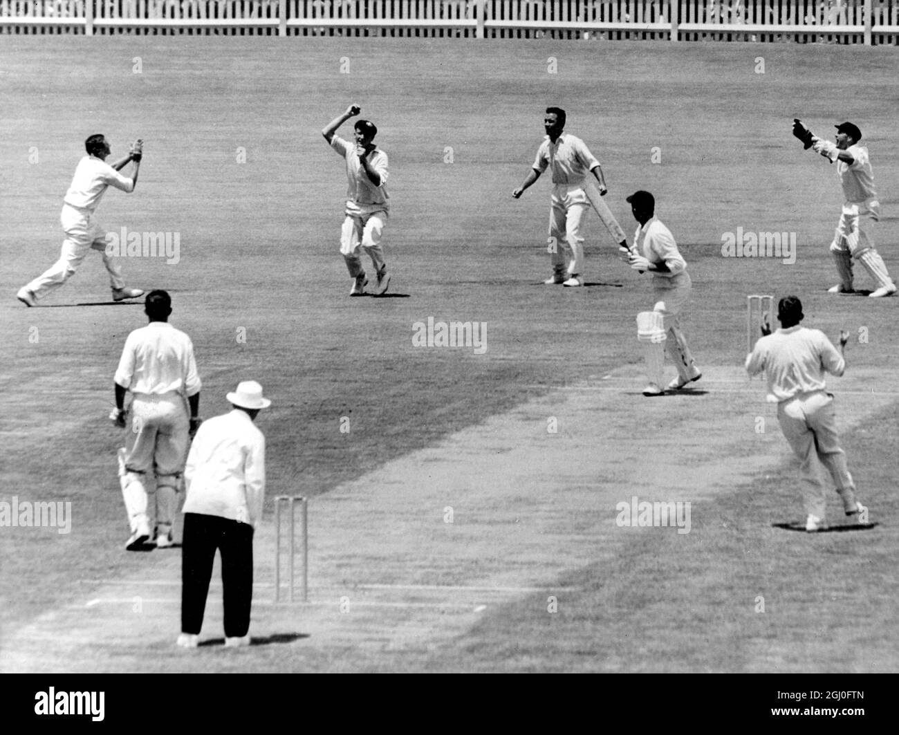Australien gegen England David Sheppard (Englnd) wird von Graham McKenzie drei Mal beim Bowlen von Alan Davidson gefangen, während die australischen Feldspieler am ersten Tag des dritten Testspieles auf dem Sydney Cricket Ground appellierten. Januar 1963. Stockfoto