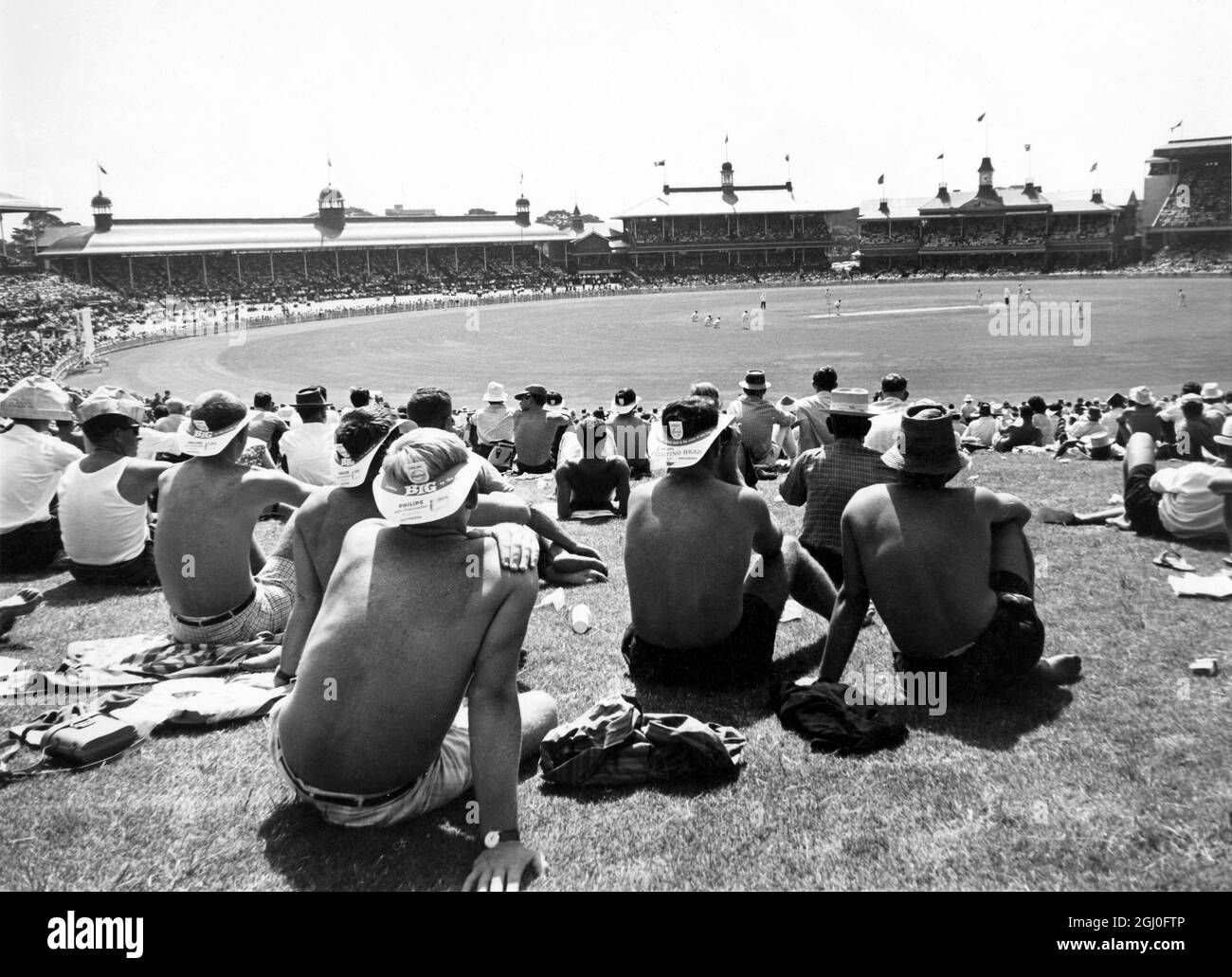 Australien gegen England Zuschauer auf dem Hügel auf dem Sydney Cricket Ground am ersten Tag des fünften und letzten Testspiel zwischen England und Australien. Februar 1963 Stockfoto