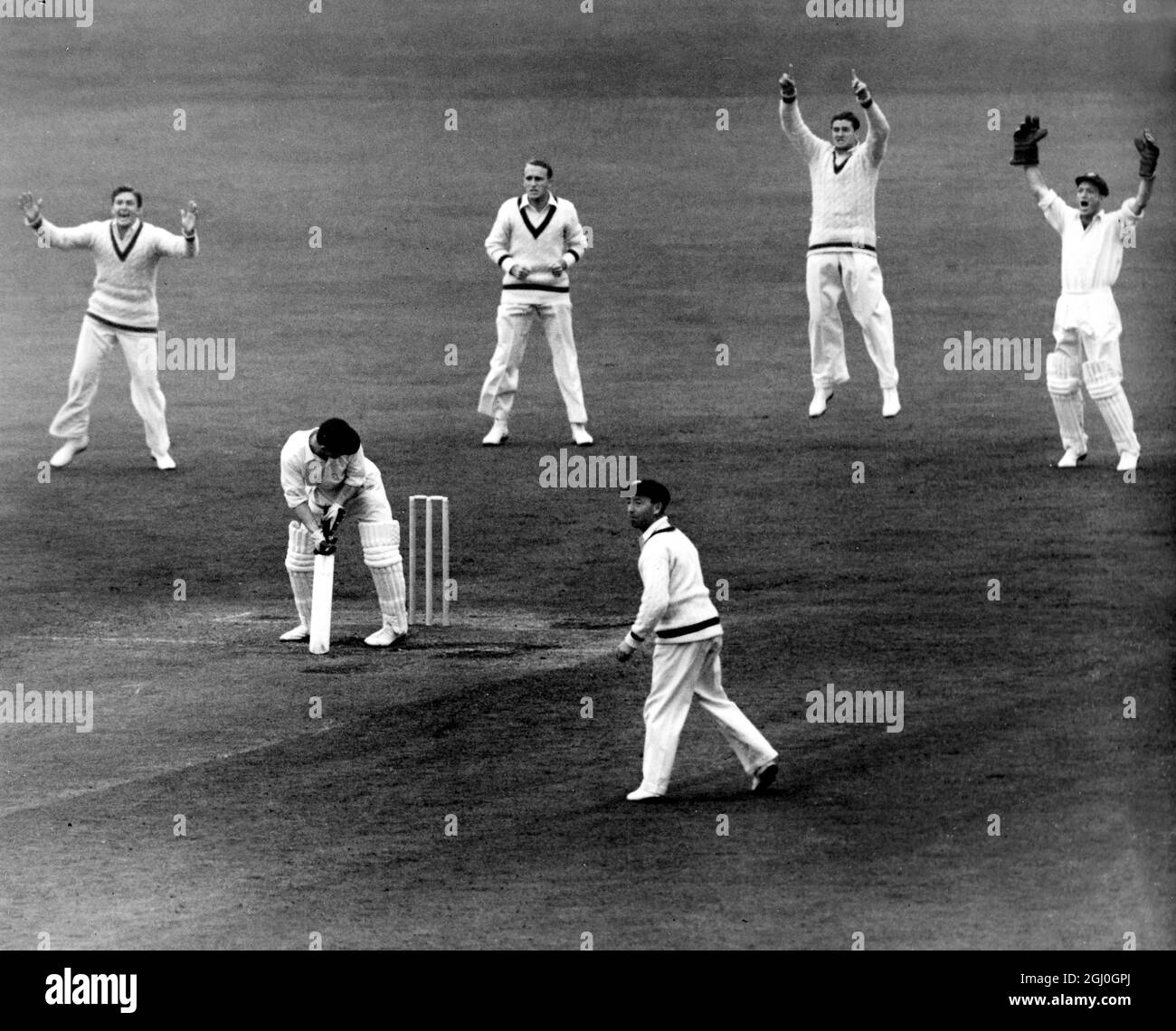 England V Australien. Dritter Tag 13. Juni 1953. Australier appellieren in Englands zweiten Innings für lew gegen Hutton vor Lindwall. Stockfoto