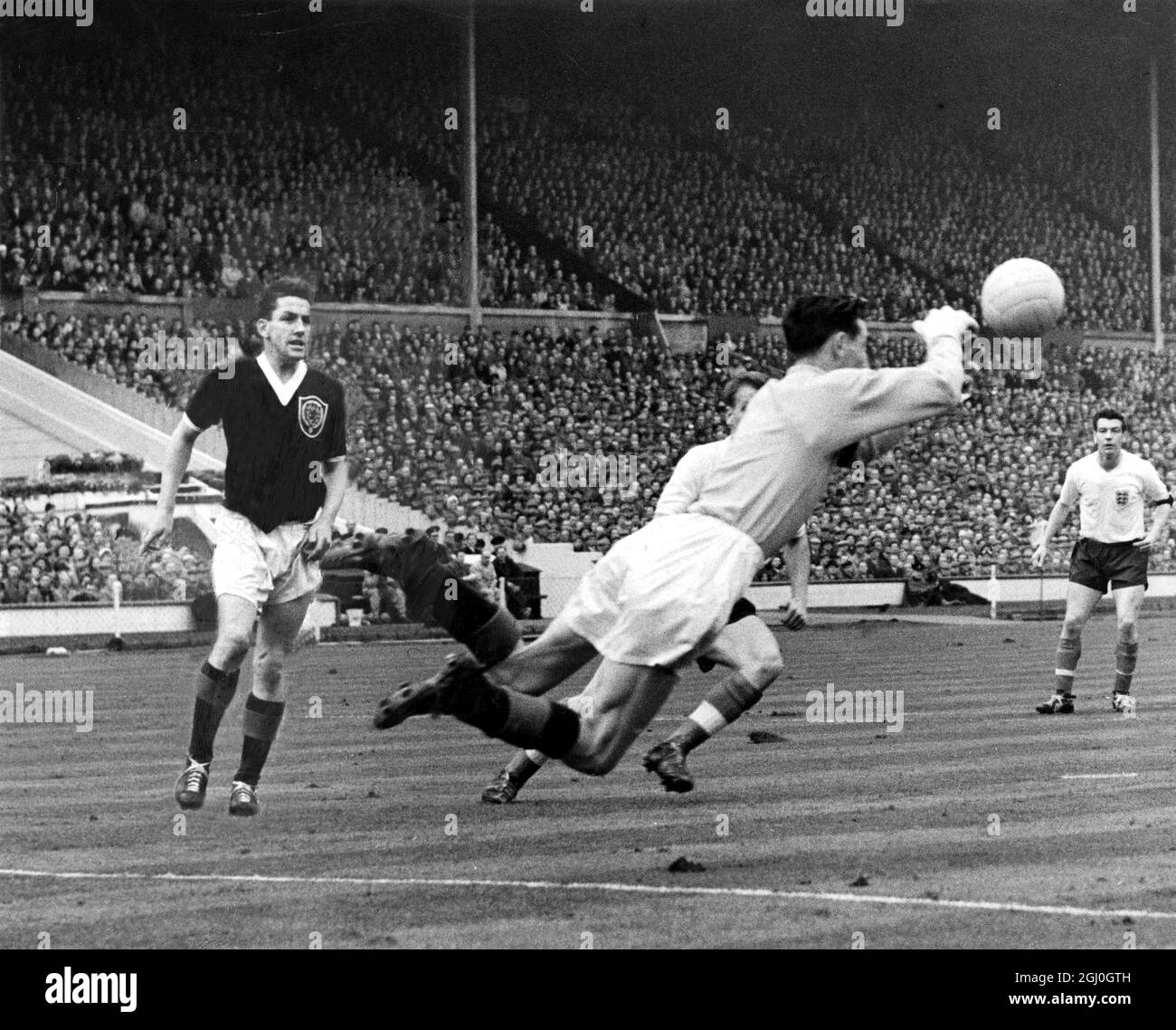 England gegen Schottland bei Wembley Brown taucht der schottische Torhüter aus, um Bobby Charlton (halb versteckt) den England in der Mitte des Vorwärts zu entführen. April 1959 Stockfoto