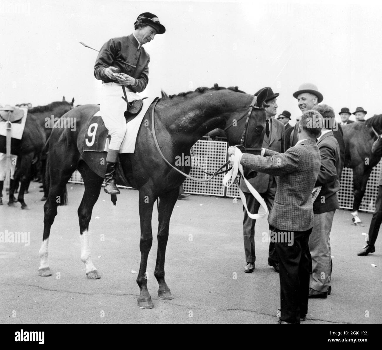 Paris: Leichter Sieger von Englands Derby Stakes 1965, Sea Bird II mit T.P. Glennon Up, gesehen nach dem Gewinn des Grand Prix De St Cloud hier am 4. Juli. Im Hintergrund sind der Pferdetrainer E. Pollet (Trilby-Hut) und der Besitzer J Ternynck zu sehen. Juli 1965 Stockfoto