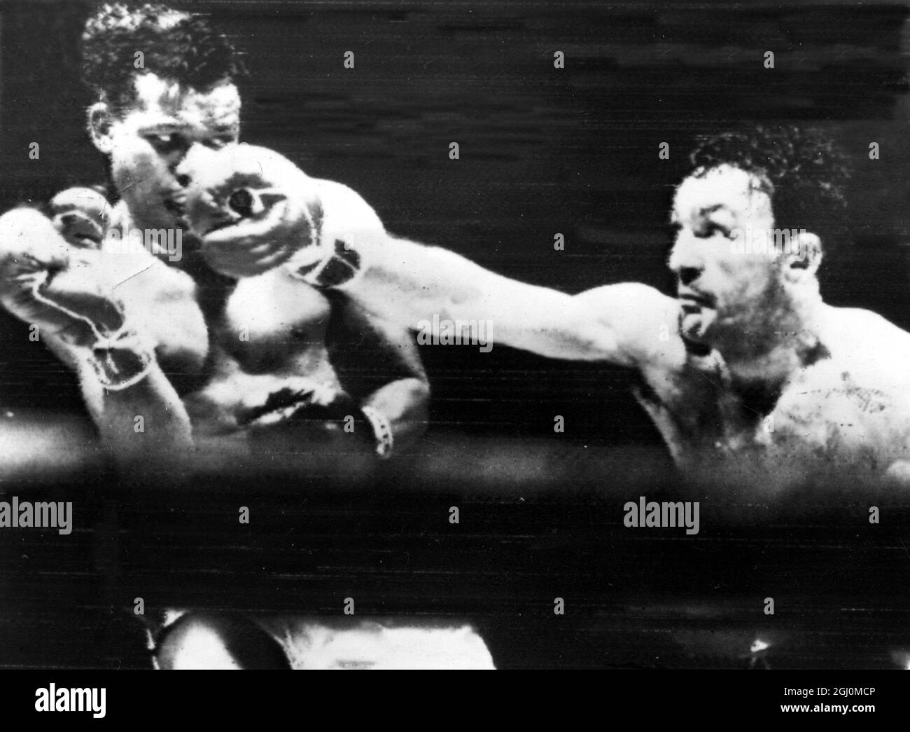 Amerika, Chicago Sugar Ray Robinson gewann gestern Abend in Chicago den Titel der Weltmitteweight zurück, als er Carmen Basilio schlug. 26. März 1958 Stockfoto