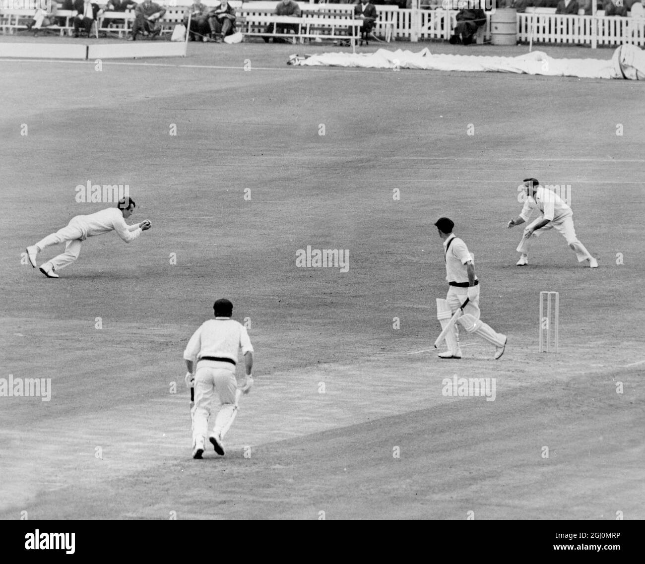 London : Knight macht einen Taucherfang in der Schlucht, um Walters von Brown' s Bowling zu entlassen, da die Australier heute im zweiten Testspiel bei Lords geroutet wurden. Die Touristen waren alle für 78 als Antwort auf England ' s 351 für sieben und wurden gemacht, um zu folgen. 24. Juni 1968 Stockfoto