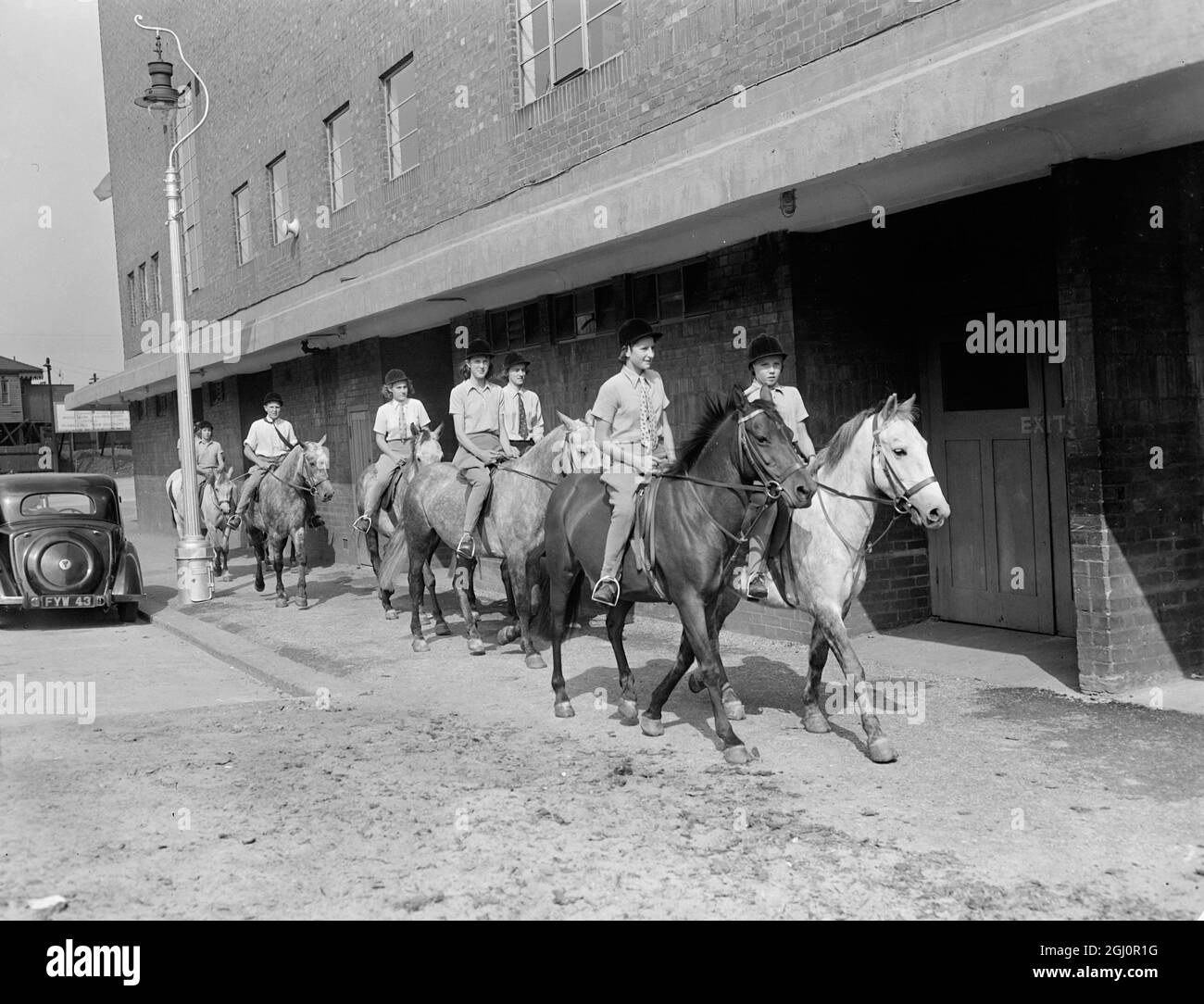 Kinder Reiter Proben für ihren großen Tag. Eines der Merkmale der Harringay Horse Show , die morgen eröffnet , wird die Reiten und Springen Leistung von einem Team von jungen Reitern , alle von ihnen Mitglieder des Crawley und Horsham Pony Club sein . Seit einiger Zeit üben die Jugendlichen unter der Aufsicht von Brigadier und Frau John Allen aus Ashington , Sussex , hart und heute haben sie eine Probe in Harringay für die morgige Eröffnung. Foto zeigt ; Ein Blick auf die Reihe von Ponys und jungen Reitern, die heute in Harringay für die Proben ankommen . 12. September 1949 Stockfoto