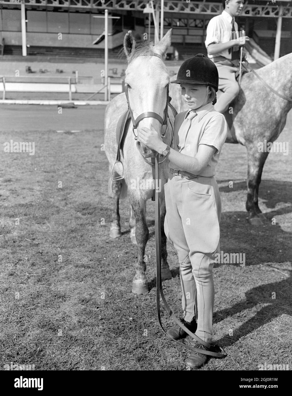 Kinder Reiter Proben für ihren großen Tag. Eines der Merkmale der Harringay Horse Show , die morgen eröffnet , wird die Reiten und Springen Leistung von einem Team von jungen Reitern , alle von ihnen Mitglieder des Crawley und Horsham Pony Club sein . Seit einiger Zeit üben die Jugendlichen unter der Aufsicht von Brigadier und Frau John Allen aus Ashington , Sussex , hart und heute haben sie eine Probe in Harringay für die morgige Eröffnung. Fotoausstellungen ; jüngstes Mitglied des Teams , 11 Jahre alt Gay Tregoning von Ashington , Sussex , Reiten des jüngsten Pony , '' Titweilow '' , die Stockfoto