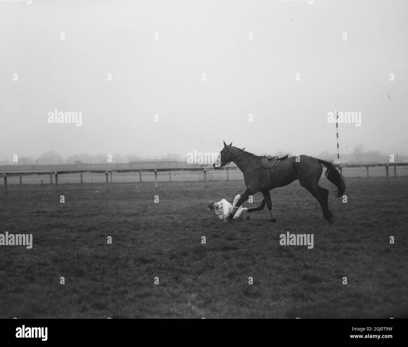 JOCKEY MR P THORNE WIRD BEI DEN NEWBURY-RENNEN AM 11. FEBRUAR 1960 WIEDER VON SEINEM PFERDEVERSUCH GEWORFEN Stockfoto