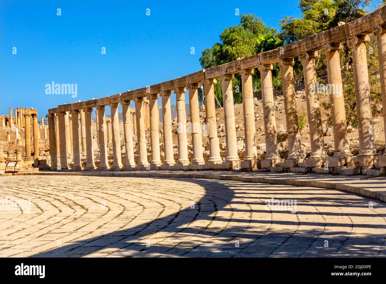 Oval Plaza 160 ionische Säulen antike römische Stadt Jerash Jordan.  Jerash 300 v. Chr. bis 100 n. Chr. die Macht kam und war eine Stadt bis 600 n. Chr.. Nicht eroberten unt Stockfoto