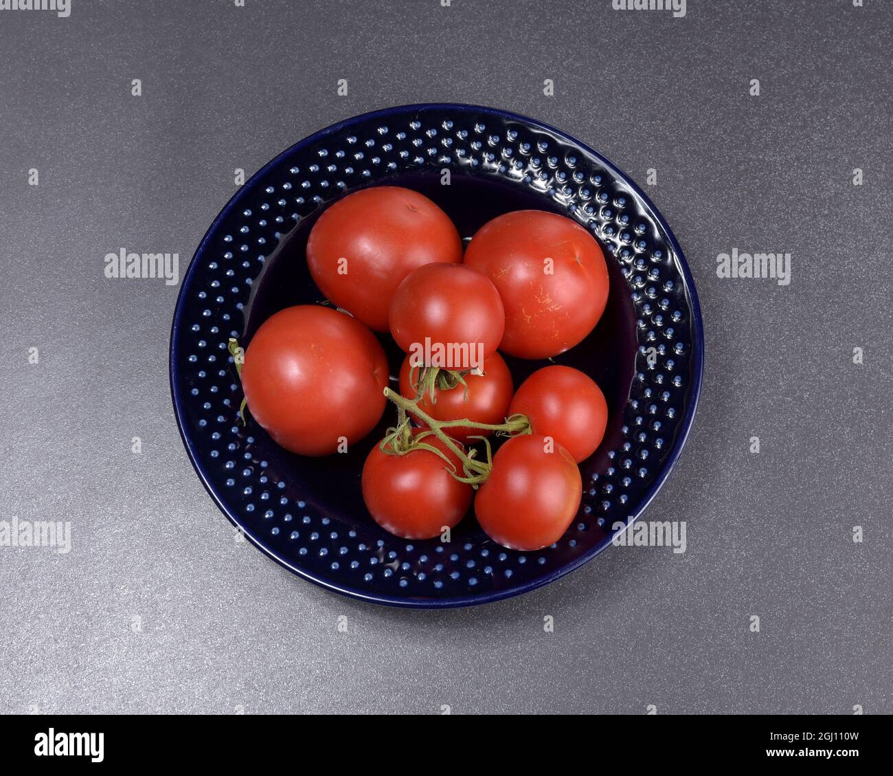 Selbstgewachsene Tomaten in einem dunkelblauen Keramikblasen Stockfoto